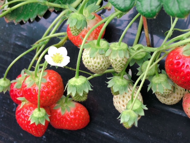 ������������