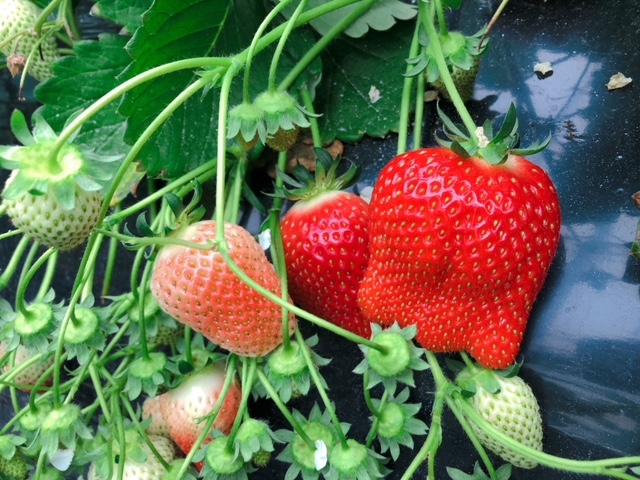 ������������