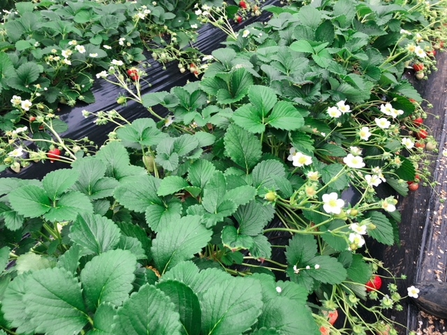 ������������