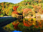 �������R�̎ʐ^1