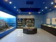 �^�ߒ��������L�ޔ����ق̎ʐ^1