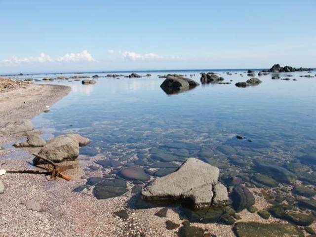 ���l�C��_���l�C�݊C������