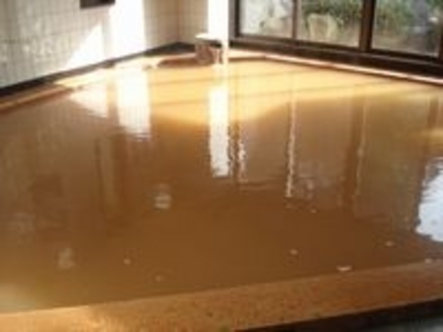 ゆったりとした内風呂_巌立峡ひめしゃがの湯