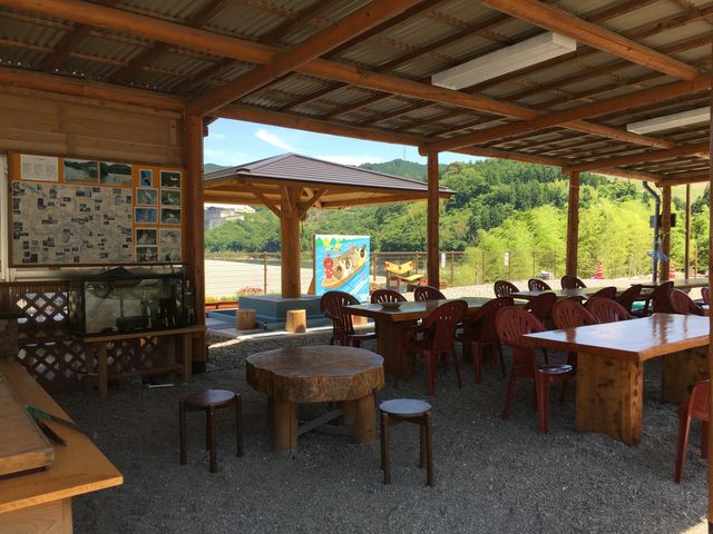 ���`�D�m����