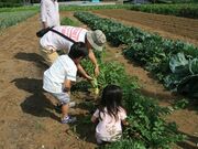 ���n�̌��i�L������I�[�g�L�����v��j�̎ʐ^3