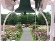 �X��������܃K�[�f���̎ʐ^1