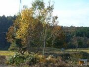 ����q�Õ��̎ʐ^1