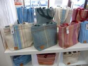 �w�O�ό��ē���������̎ʐ^2