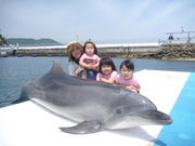 ܑ݂̌p[Nu݃CJv̎ʐ^4