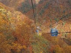 hShEcネ[vEF[ygt̖z̎ʐ^1