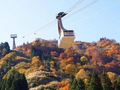 򍂌[vEFCEAv̗ygt̖z̎ʐ^1