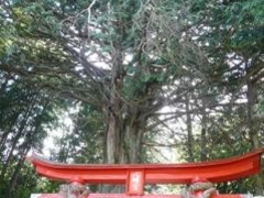 小堀山八幡神社の写真1