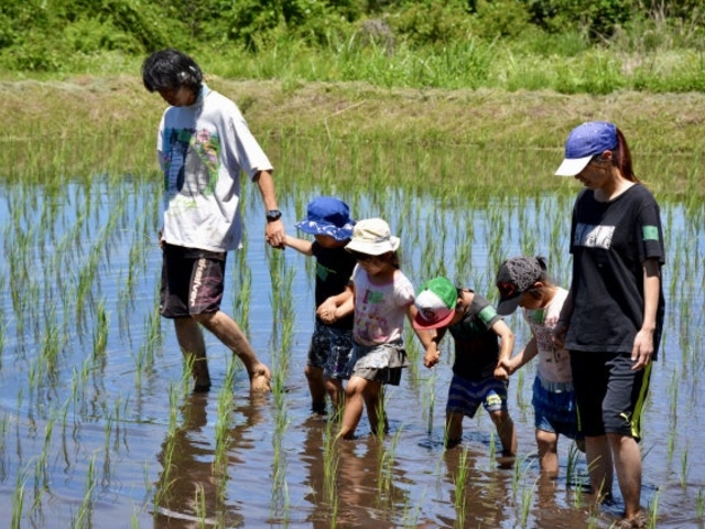 ���̗��A�N�e�B�r�e�B�u�_�Ƃ���̂���Ł@���A�肢�Ȃ���炵�̌��v