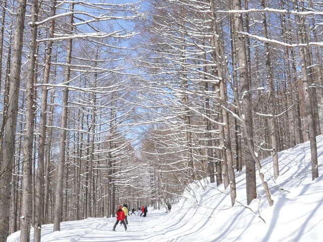 山スキー YAMABOKU WILD SNOW PARK】アクセス・営業時間・料金情報 - じゃらんnet