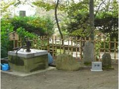 「信州の名水・秘水」 谷厳寺の井戸「延命水」の写真1