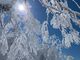 YAMABOKU WILD SNOW PARK̎ʐ^2