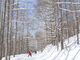YAMABOKU WILD SNOW PARK̎ʐ^4