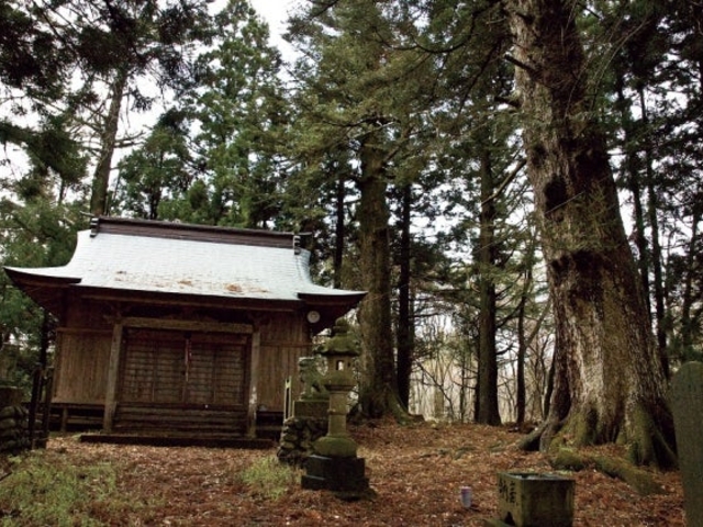 �K�㒬���؂߂���