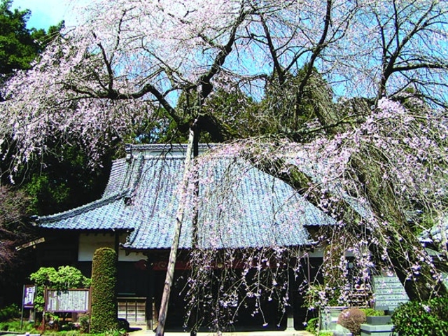 �������̎ʐ^1