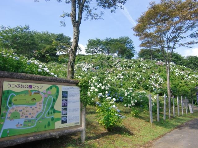 ���ԂȌ���_���ԂȌ����̂�������