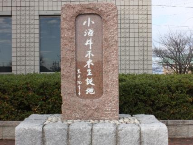 ������s�؂̎ʐ^1