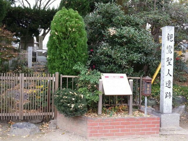 �e�a���l���|�΂̎ʐ^1