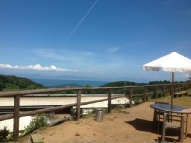 ���̖q��̎ʐ^1