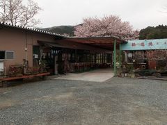 �l����ό����i�̎ʐ^