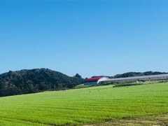 ���G�q��̎ʐ^1