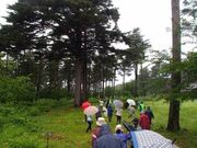 �K�㒬���؂߂���̎ʐ^3