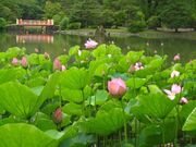 ���󔒐�����ɓ��̌Ñ�n�X�̎ʐ^1