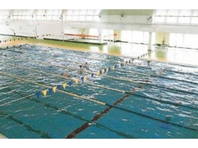 �R���s���S�����v�[���̎ʐ^1