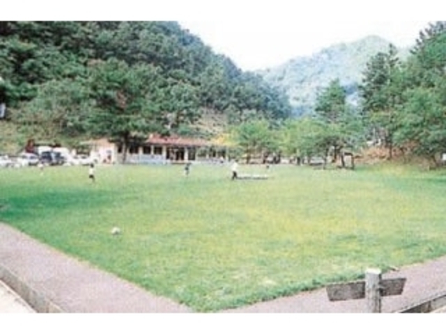 ���҃P���^�������̎ʐ^1