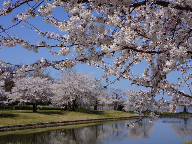 �V�����X�|�[�c����