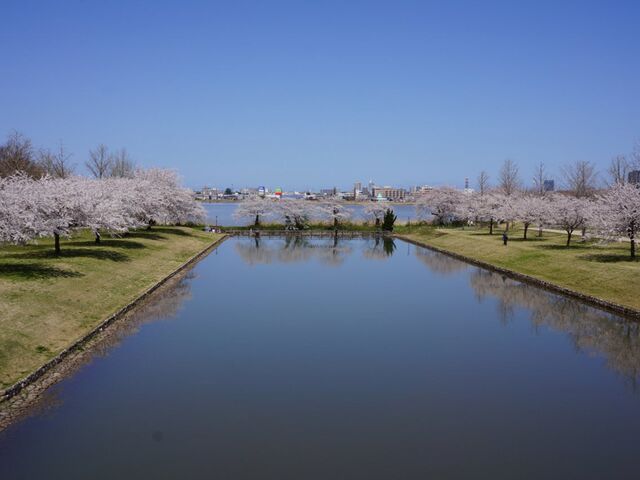 �V�����X�|�[�c����