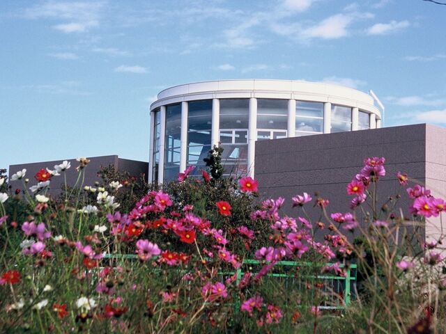 ����ˑ���Ɨ��j�̊ق̎ʐ^1