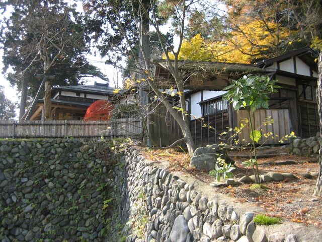 �^�@�y�R���̎ʐ^1