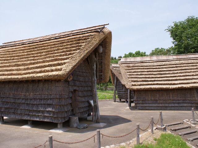 �������j�̍L��i������Ձj�̎ʐ^1