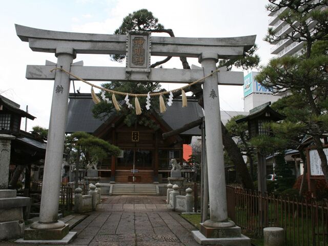 �_���{�̎ʐ^1