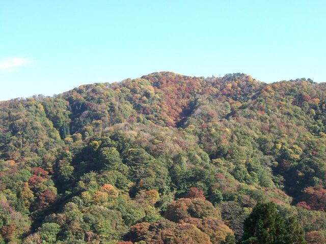 【大峰山 橡平サクラ樹林】アクセス・営業時間・料金情報 - じゃらんnet