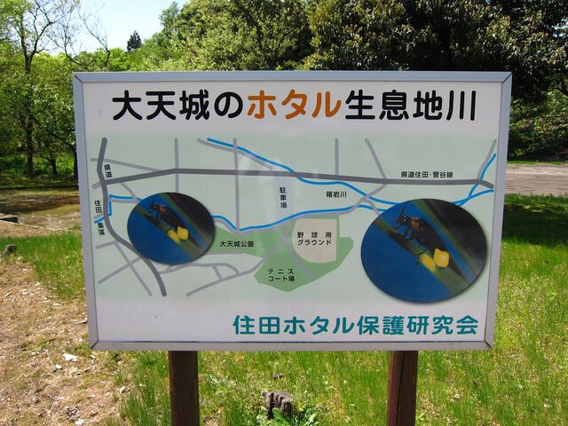 ��V������̎ʐ^1