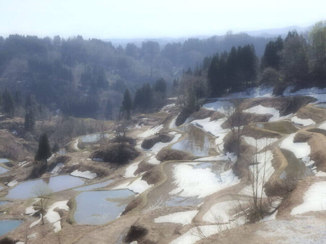 �z�㏼��I�c�Q�@�����̒I�c�̎ʐ^1