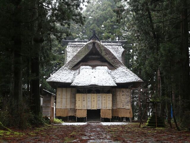 �_�{���ω����E�R��̎ʐ^1