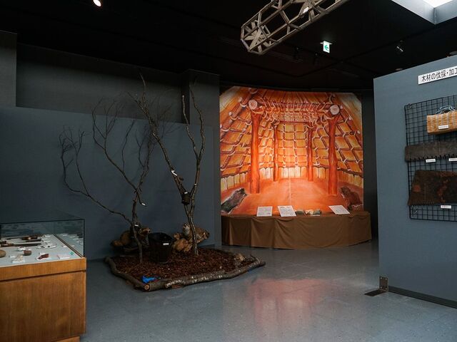 �ꕶ�̗��E�����@���O�ʗ��j�𗬊�