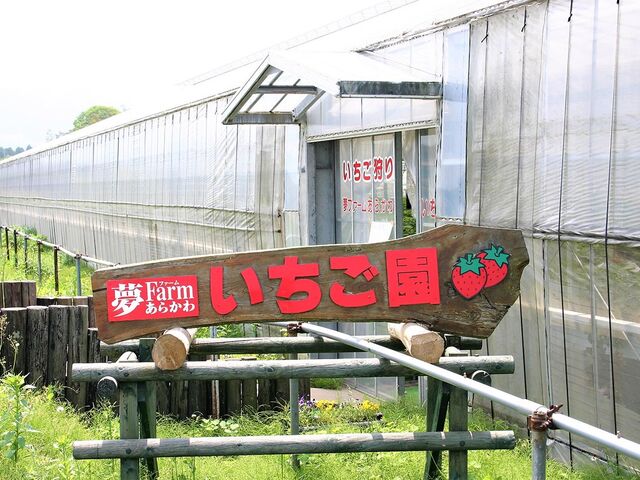 ���t�@�[�����炩�킢�������̎ʐ^1