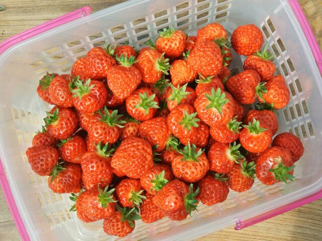 ���t�@�[�����炩�킢������