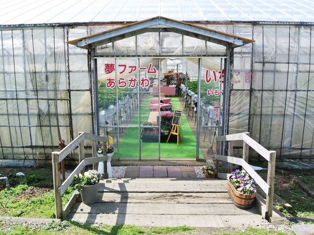 ���t�@�[�����炩�킢������