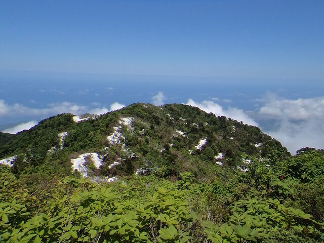 ���P�R�̎ʐ^1