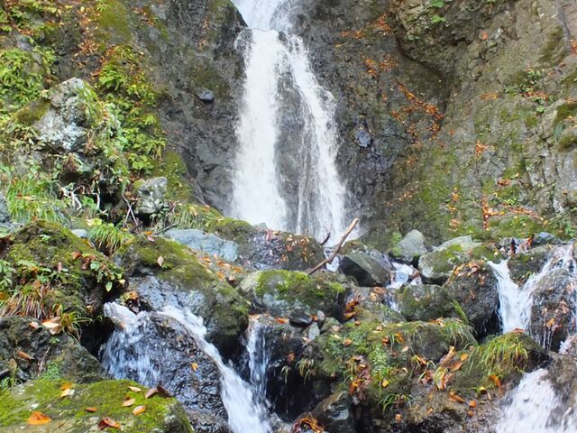 �v�w��̎ʐ^1