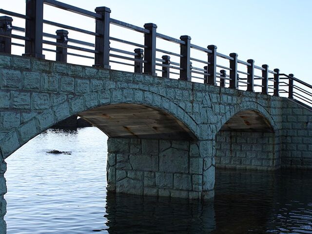 ����~�̎ʐ^1